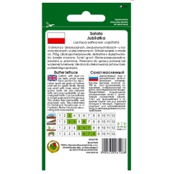 nasiona Sałata masłowa Jubilatka pnos376